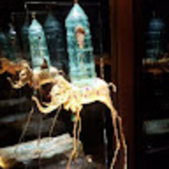 Meet your Posher, Tosha - Picture 1 of 1